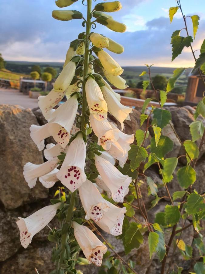 Howgill Farm Bolton Abbey Appletreewick Bagian luar foto