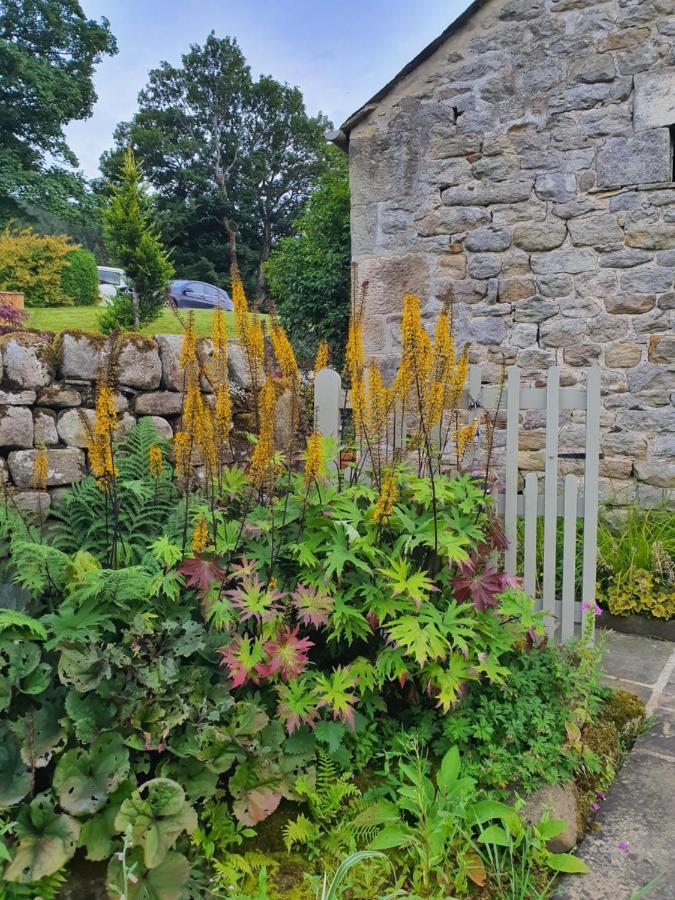 Howgill Farm Bolton Abbey Appletreewick Bagian luar foto